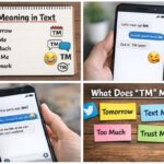 TM Meaning in Text