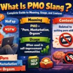 What Is PMO Slang? Complete Guide to Meaning, Usage, and Context